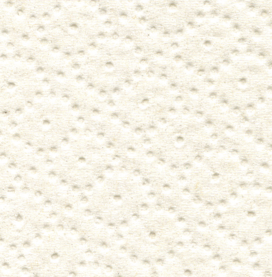 Wepa papier toaletowy comfort biały makulatura 2w 9,5 x 11 cm a64 - obrazek 4